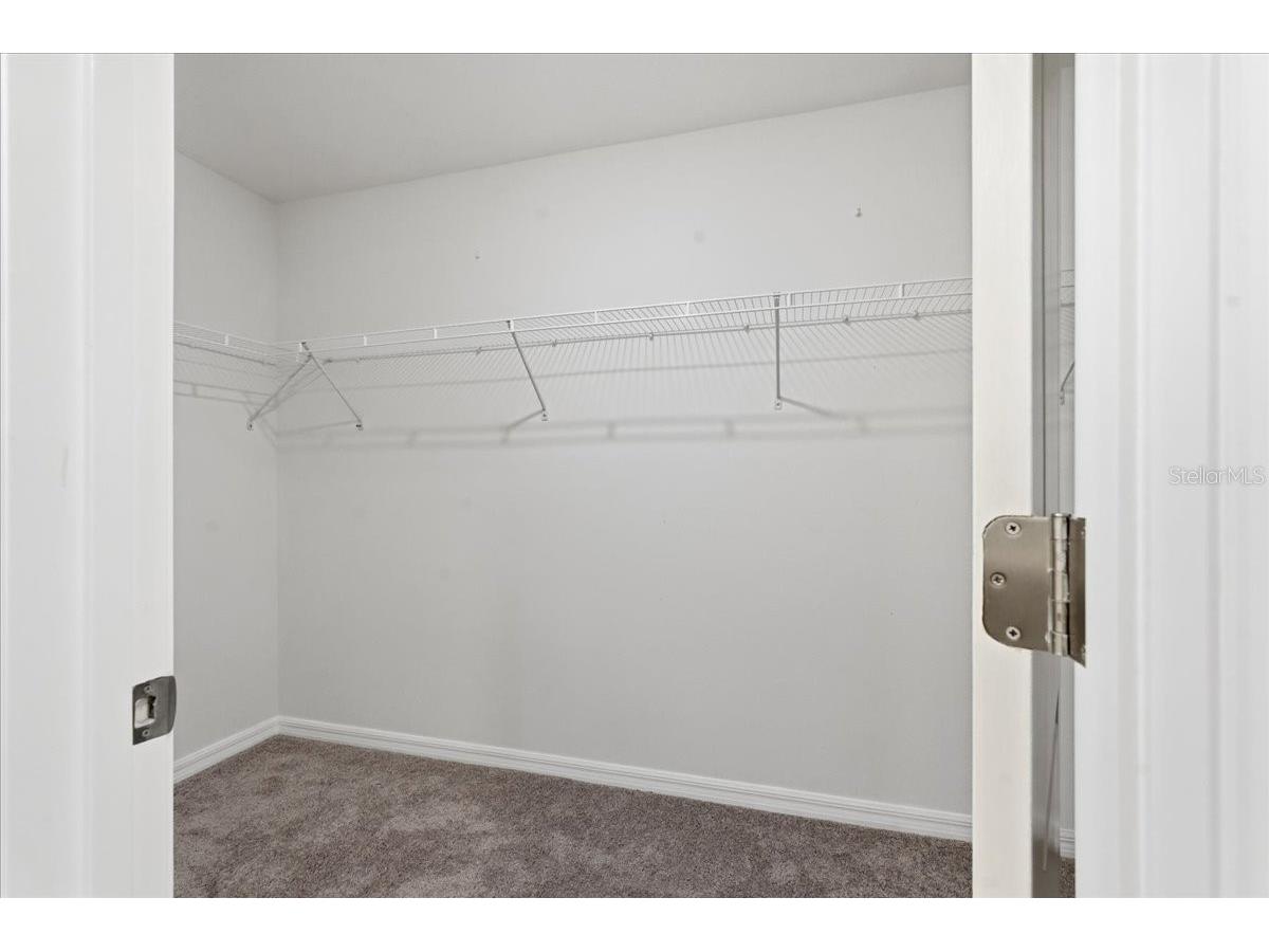 5224 White Chicory Drive Apollo Beach FL 33572 TB8506979 image31