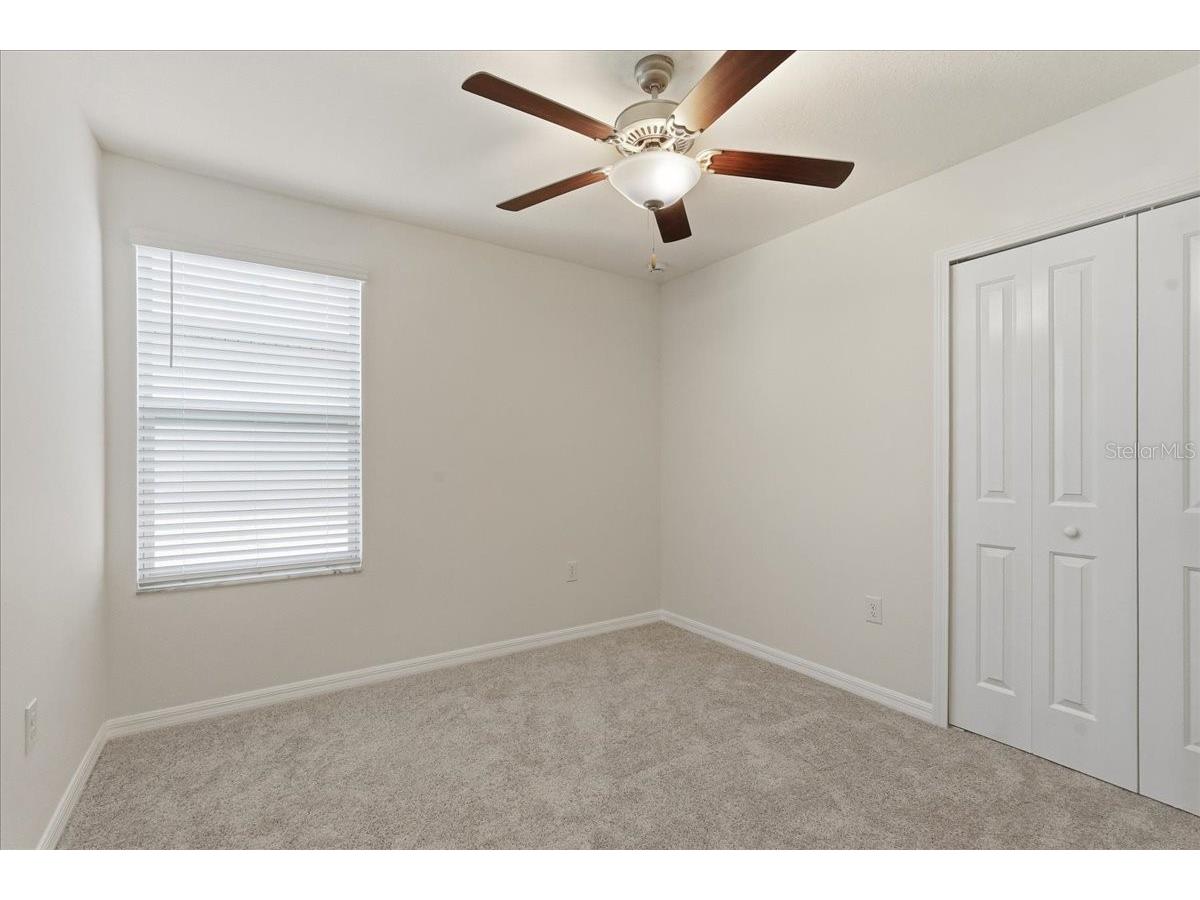 5224 White Chicory Drive Apollo Beach FL 33572 TB8506979 image32