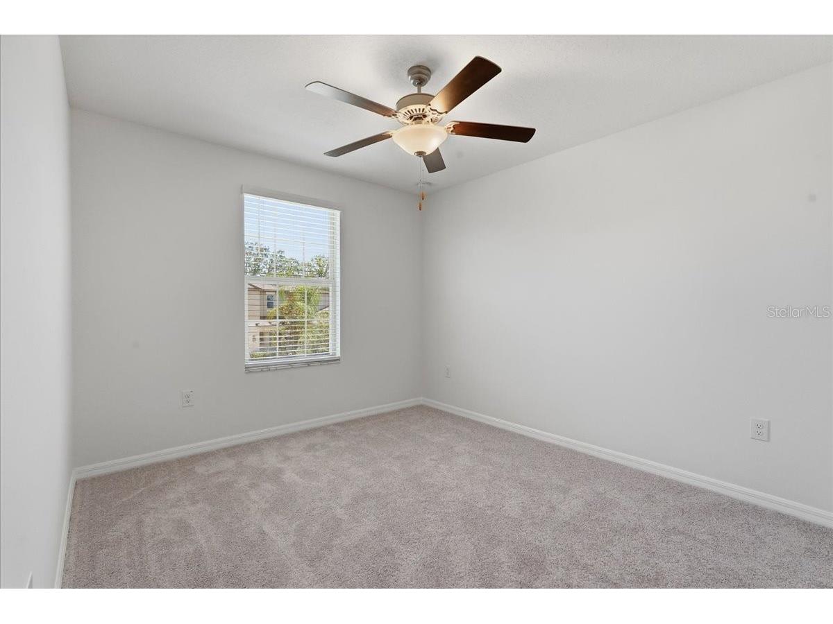 5224 White Chicory Drive Apollo Beach FL 33572 TB8506979 image35