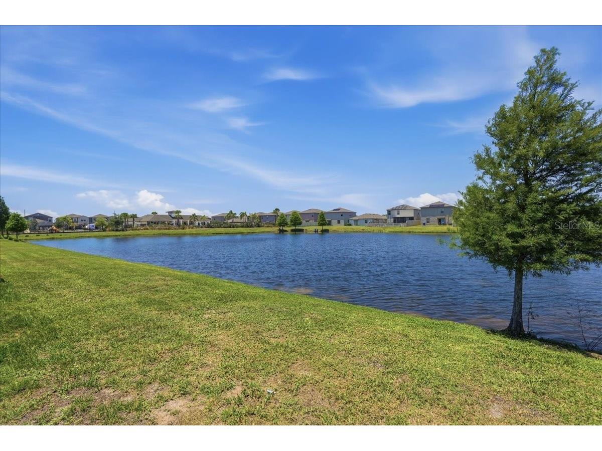5224 White Chicory Drive Apollo Beach FL 33572 TB8506979 image45