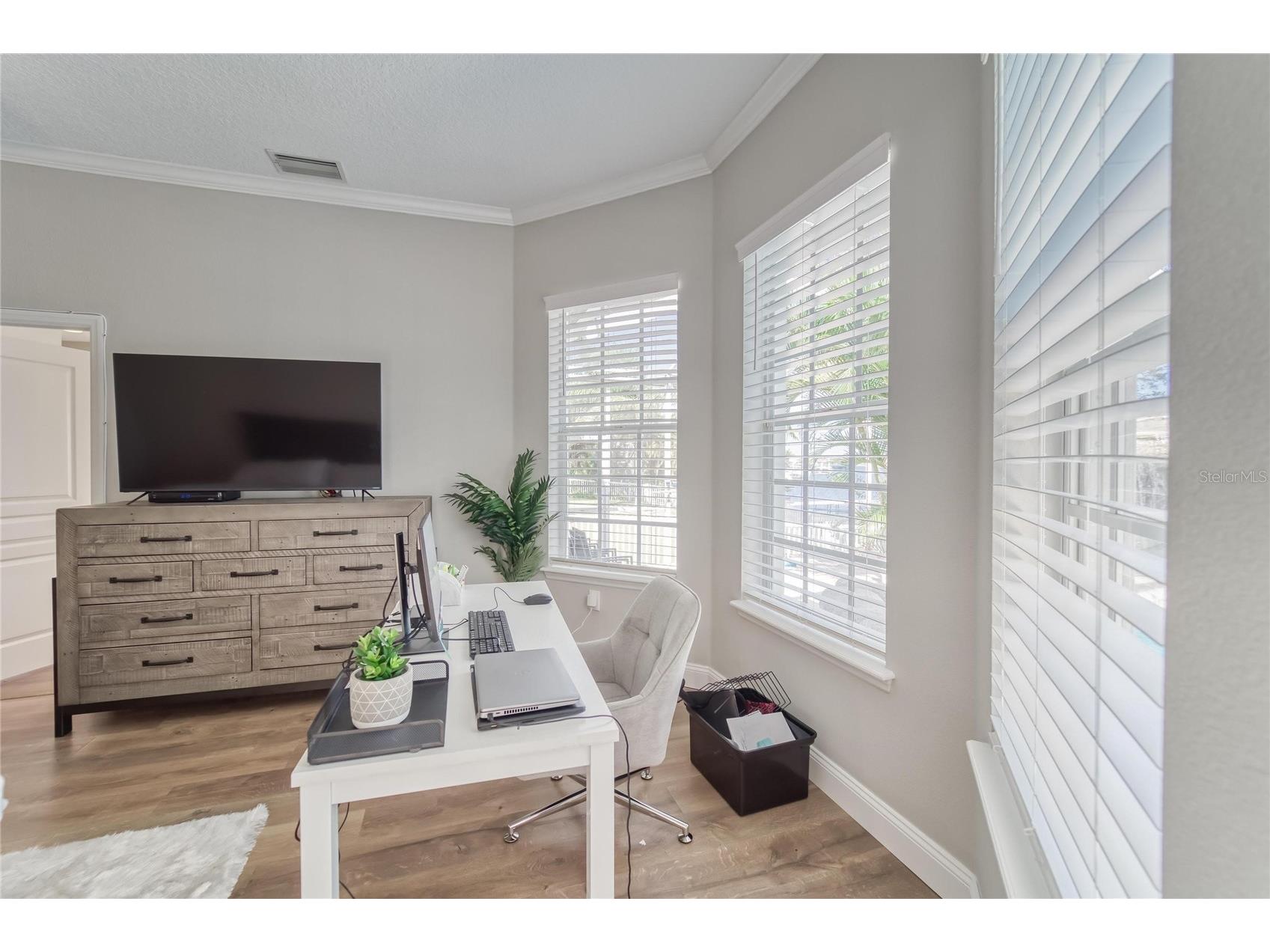 5225 Brighton Shore Drive Apollo Beach FL 33572 TB8504884 image29
