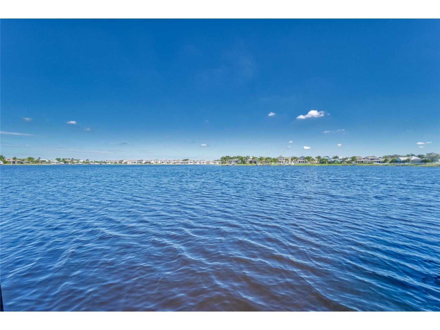 5225 Brighton Shore Drive Apollo Beach FL 33572 TB8504884 image3