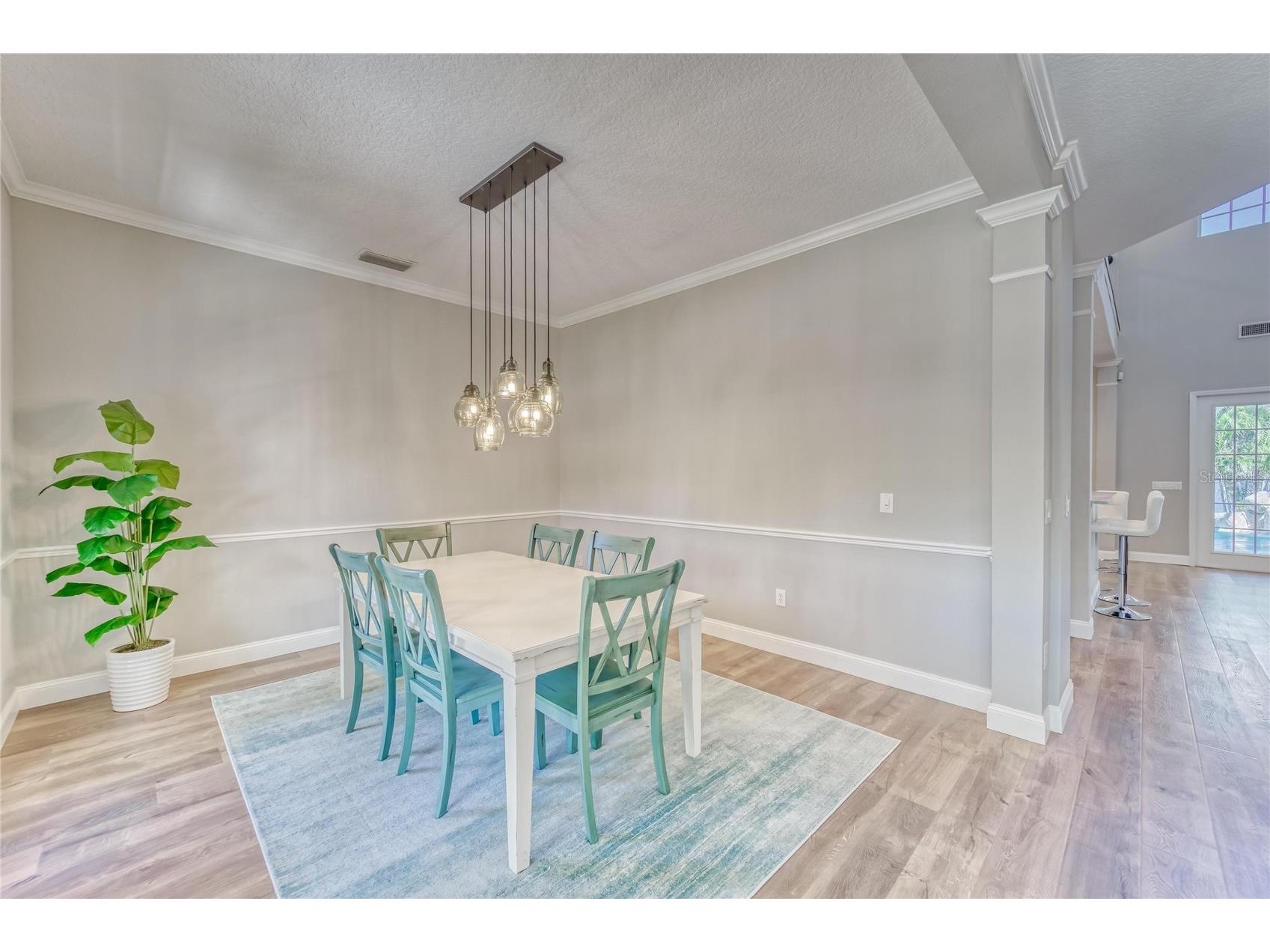 5225 Brighton Shore Drive Apollo Beach FL 33572 TB8504884 image60