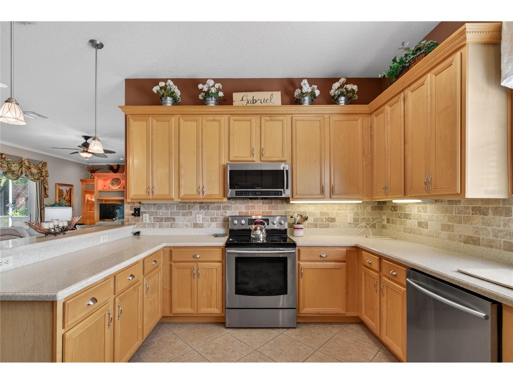 5225 Chanticleer Drive Leesburg FL 34748 O6396046 image12