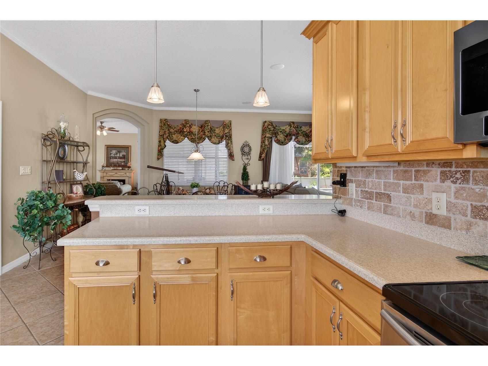 5225 Chanticleer Drive Leesburg FL 34748 O6396046 image14