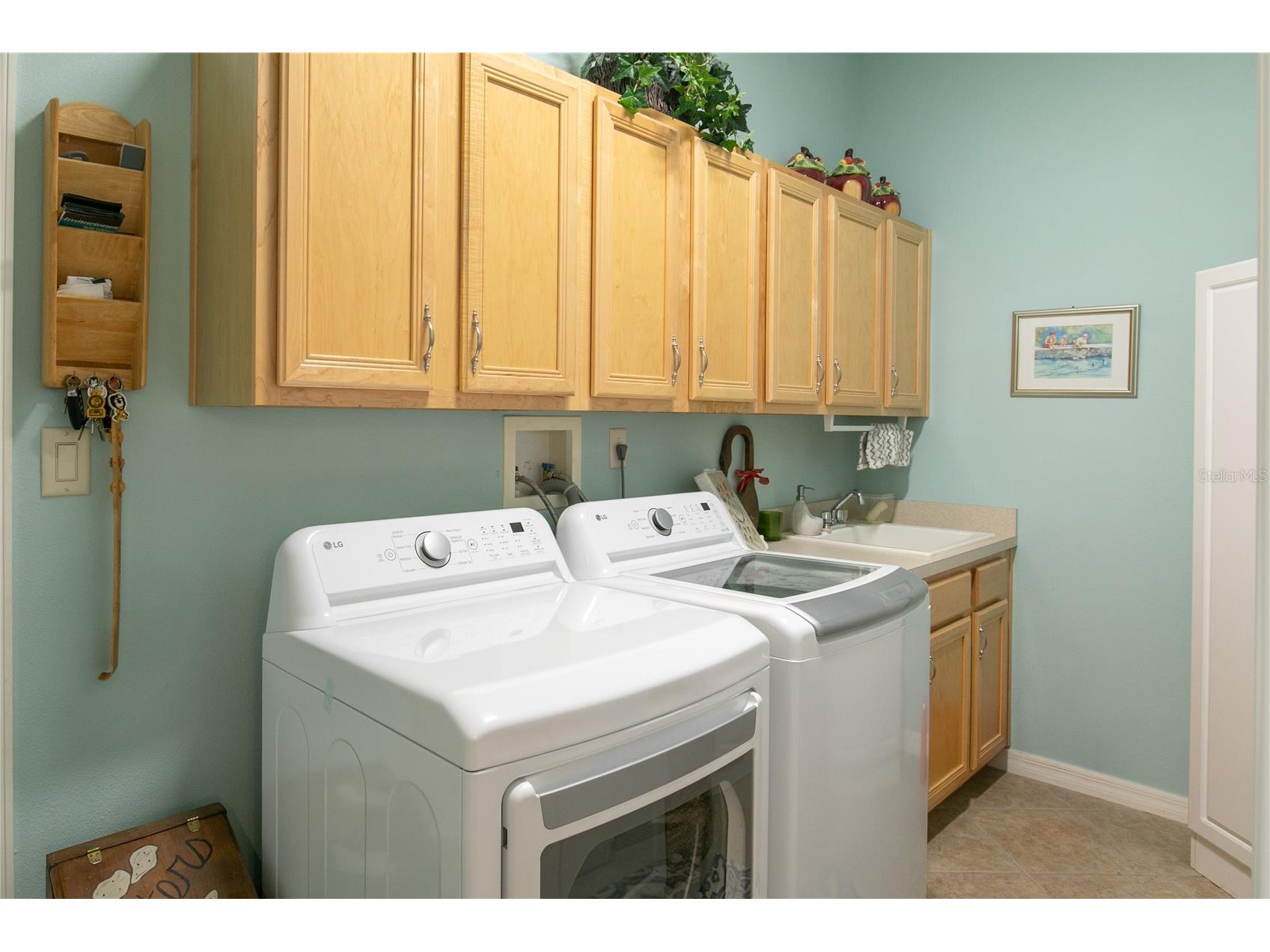 5225 Chanticleer Drive Leesburg FL 34748 O6396046 image33
