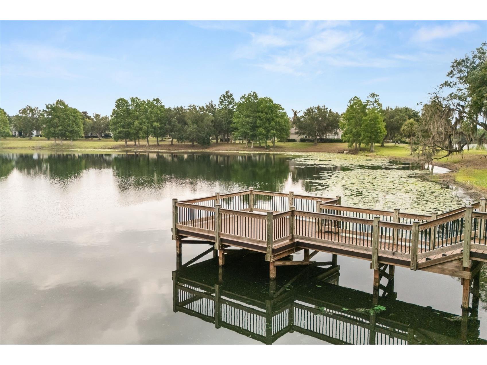5225 Lemon Twist Lane Windermere FL 34786 O6406747 image35