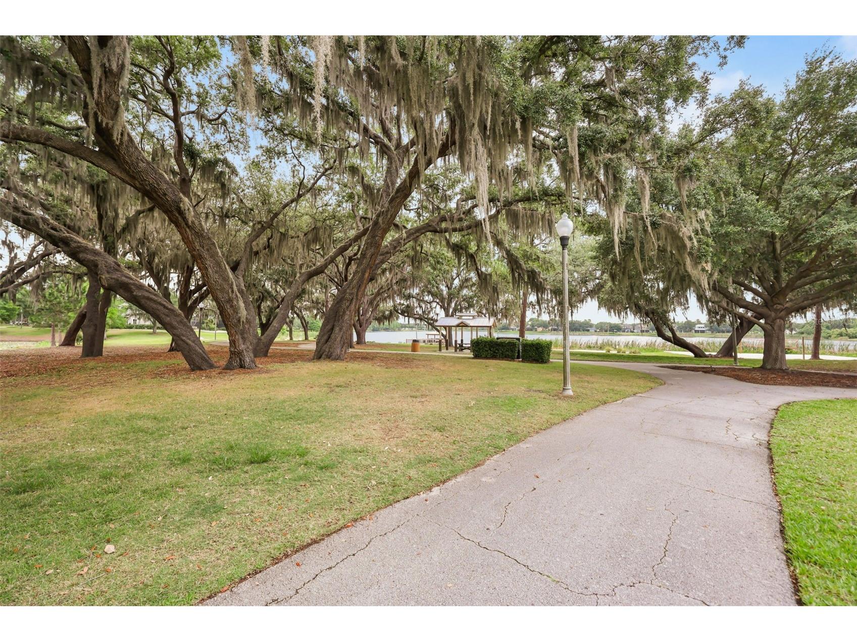 5225 Lemon Twist Lane Windermere FL 34786 O6406747 image36