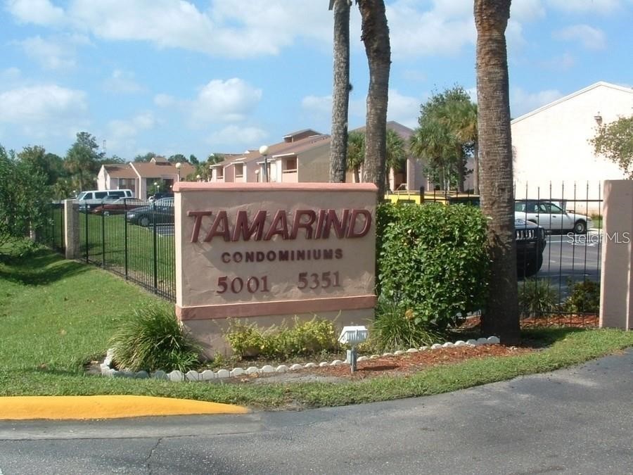 5225 Vineland Road #5225 Orlando FL 32811 O6343104 image19