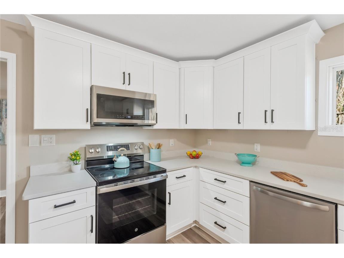 5226 Lime Avenue Seffner FL 33584 TB8449589 image3