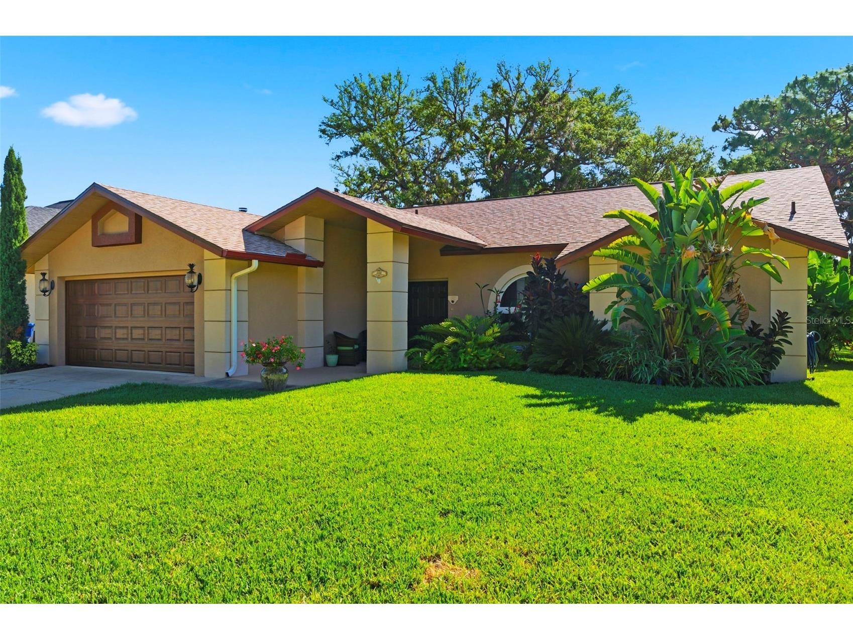 5226 Saltamonte Drive New Port Richey FL 34655 TB8499736 image1