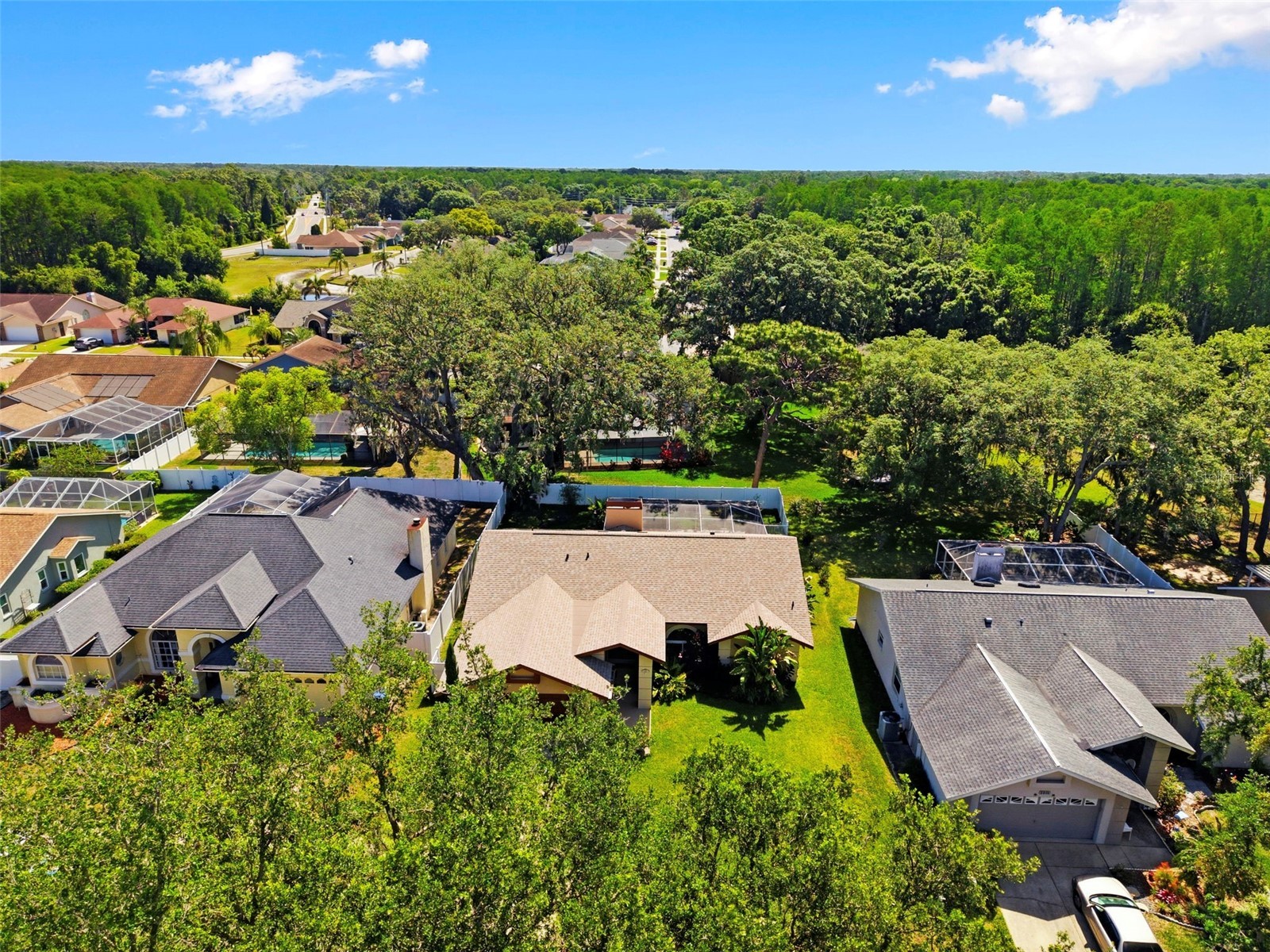 5226 Saltamonte Drive New Port Richey FL 34655 TB8499736 image48