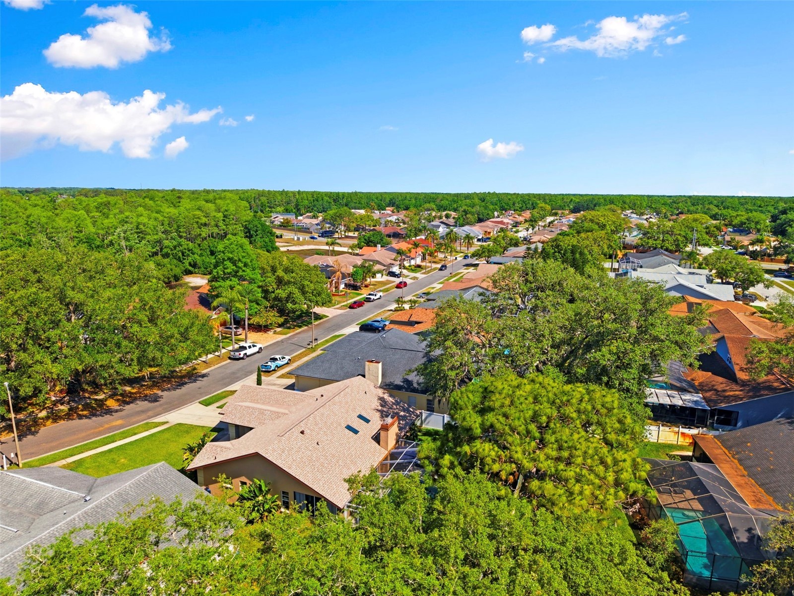 5226 Saltamonte Drive New Port Richey FL 34655 TB8499736 image49