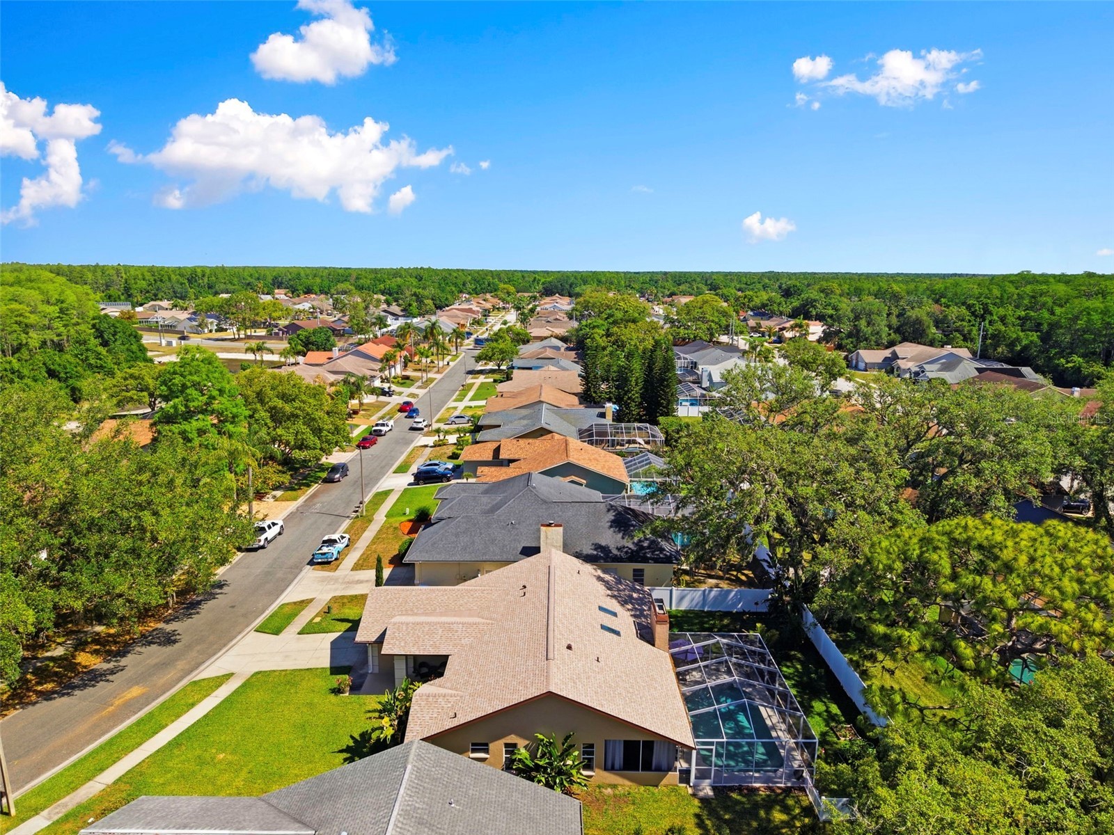 5226 Saltamonte Drive New Port Richey FL 34655 TB8499736 image50