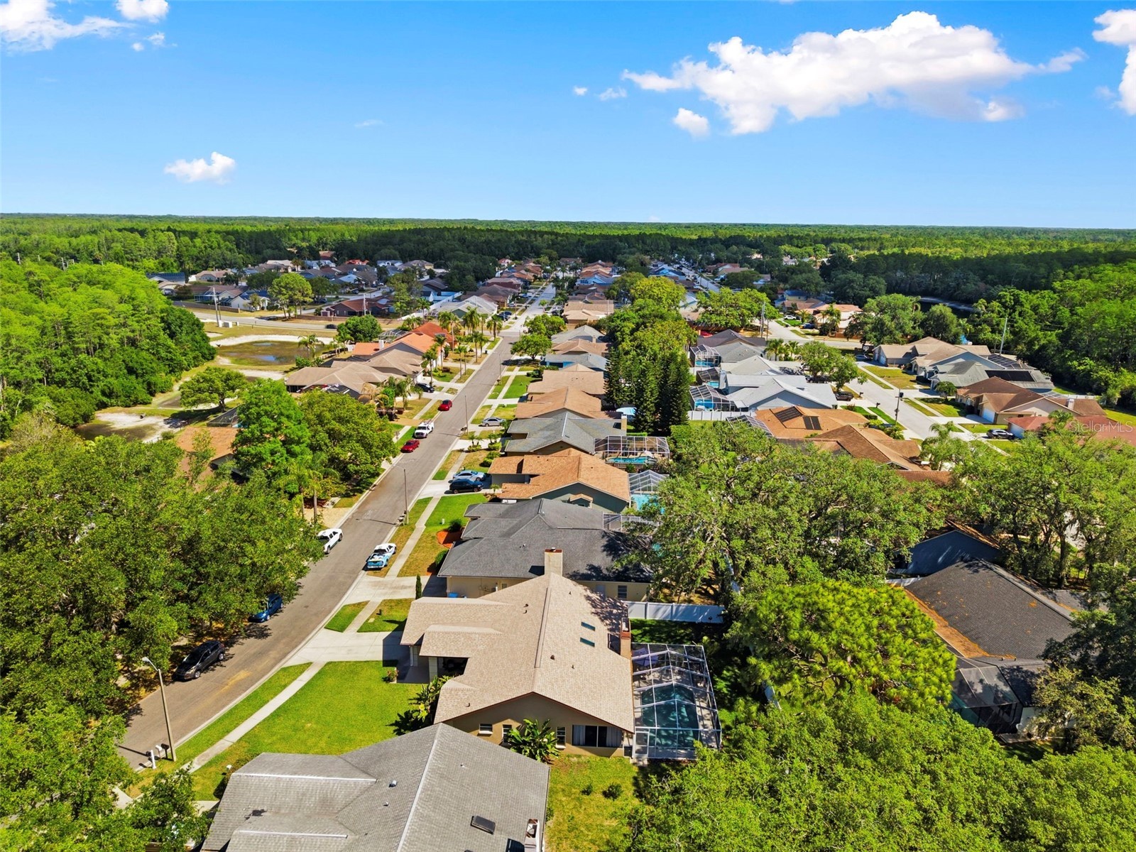 5226 Saltamonte Drive New Port Richey FL 34655 TB8499736 image52