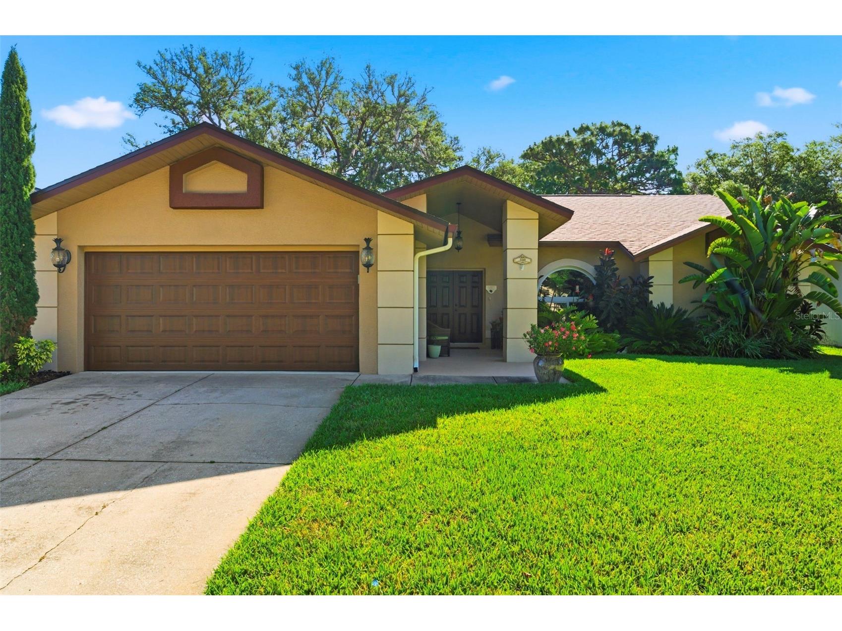 5226 Saltamonte Drive New Port Richey FL 34655 TB8499736 image6