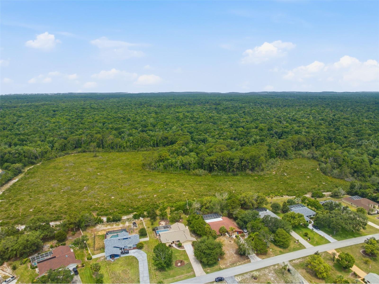 5227 Suwannee Road Weeki Wachee FL 34607 W7885943 image54