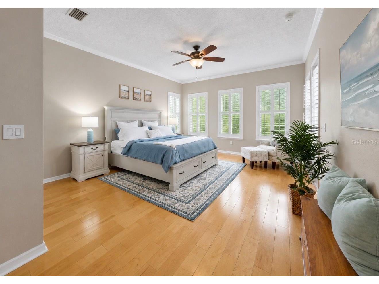 5228 Brighton Shore Drive Apollo Beach FL 33572 TB8511344 image20