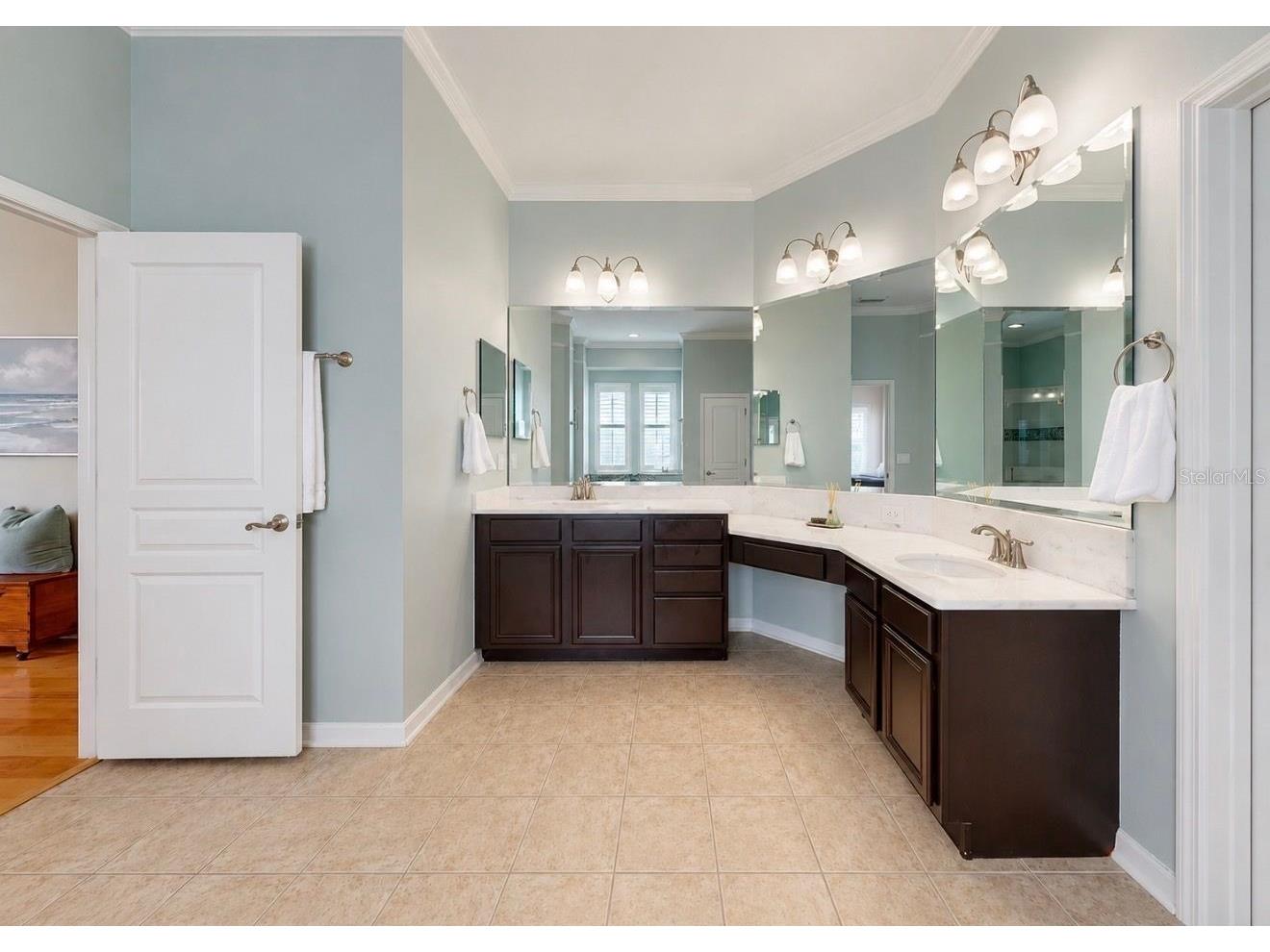 5228 Brighton Shore Drive Apollo Beach FL 33572 TB8511344 image23