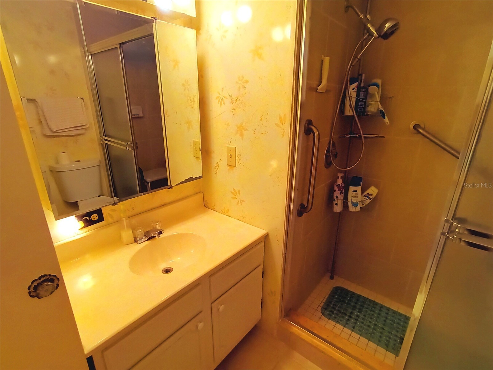 5229 Bel Air Avenue Sarasota FL 34234 A4667830 image18