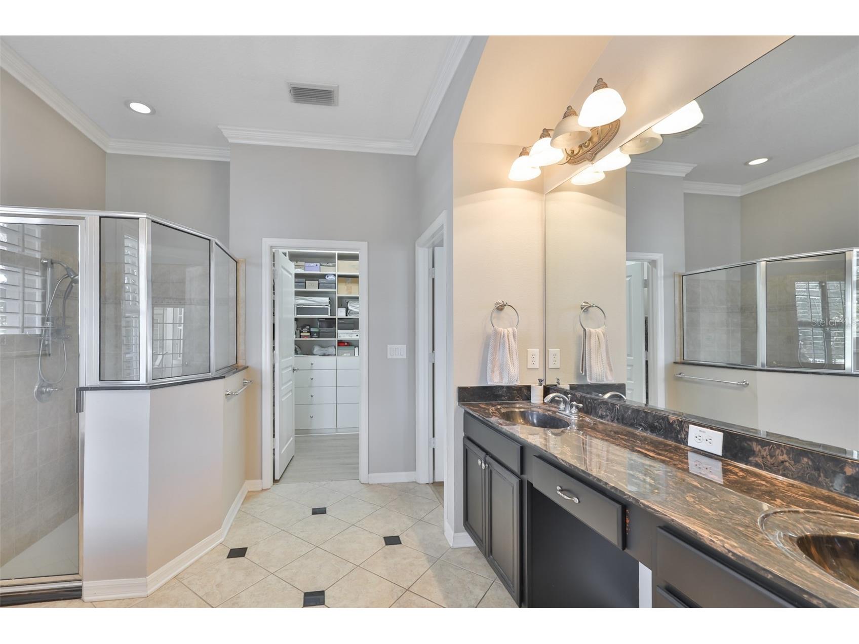 5229 Brighton Shore Drive Apollo Beach FL 33572 TB8517198 image24