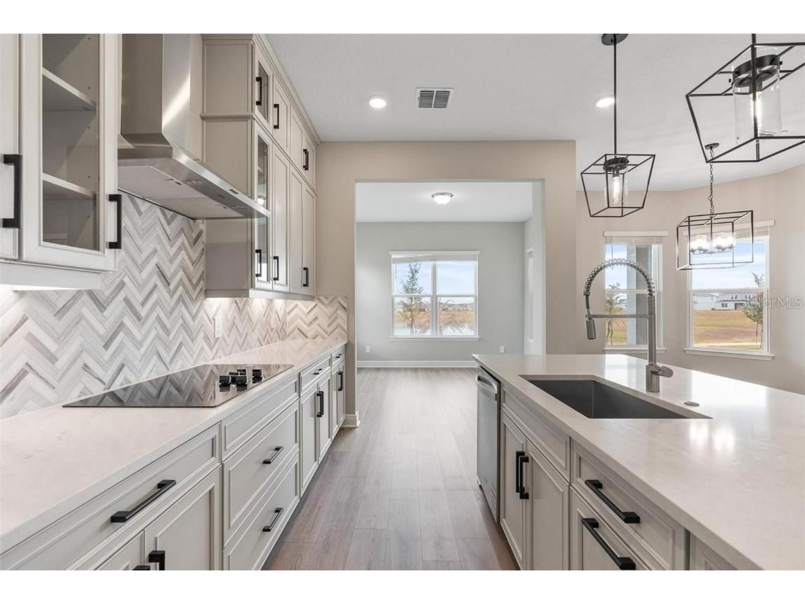 5229 Citrus Leaf Boulevard Winter Garden FL 34787 O6357630 image30