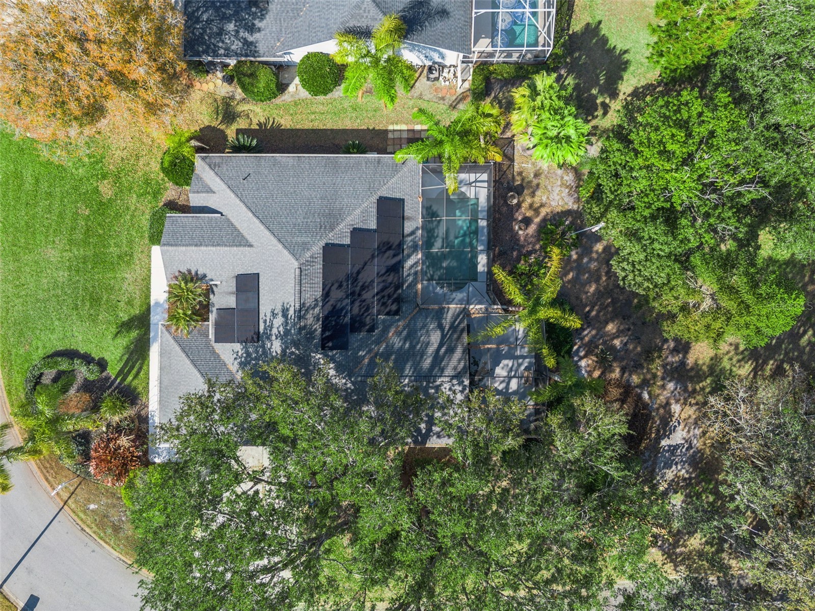 5229 Hammock Circle Saint Cloud FL 34771 O6382908 image45