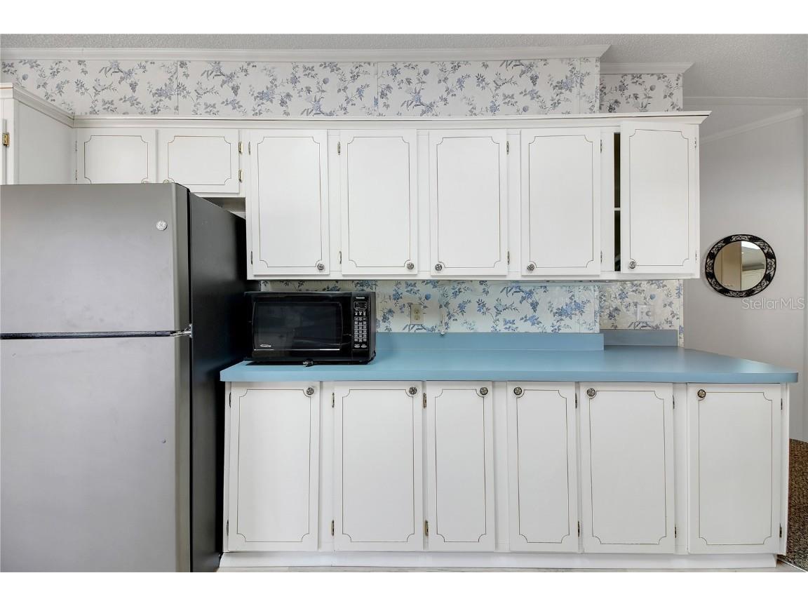 5229 Hartford Lane Wildwood FL 34785 G5105370 image15