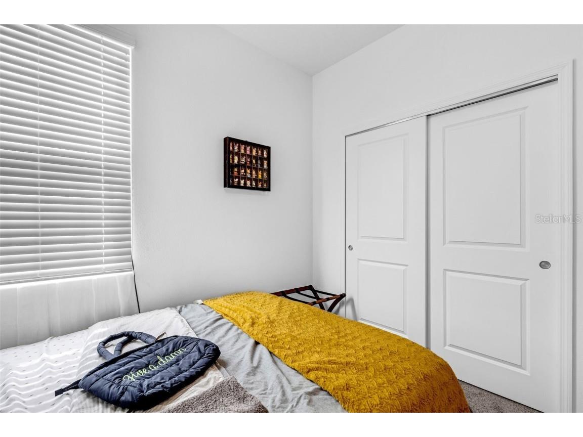 5229 Red Coral Circle Mount Dora FL 32757 S5130188 image15