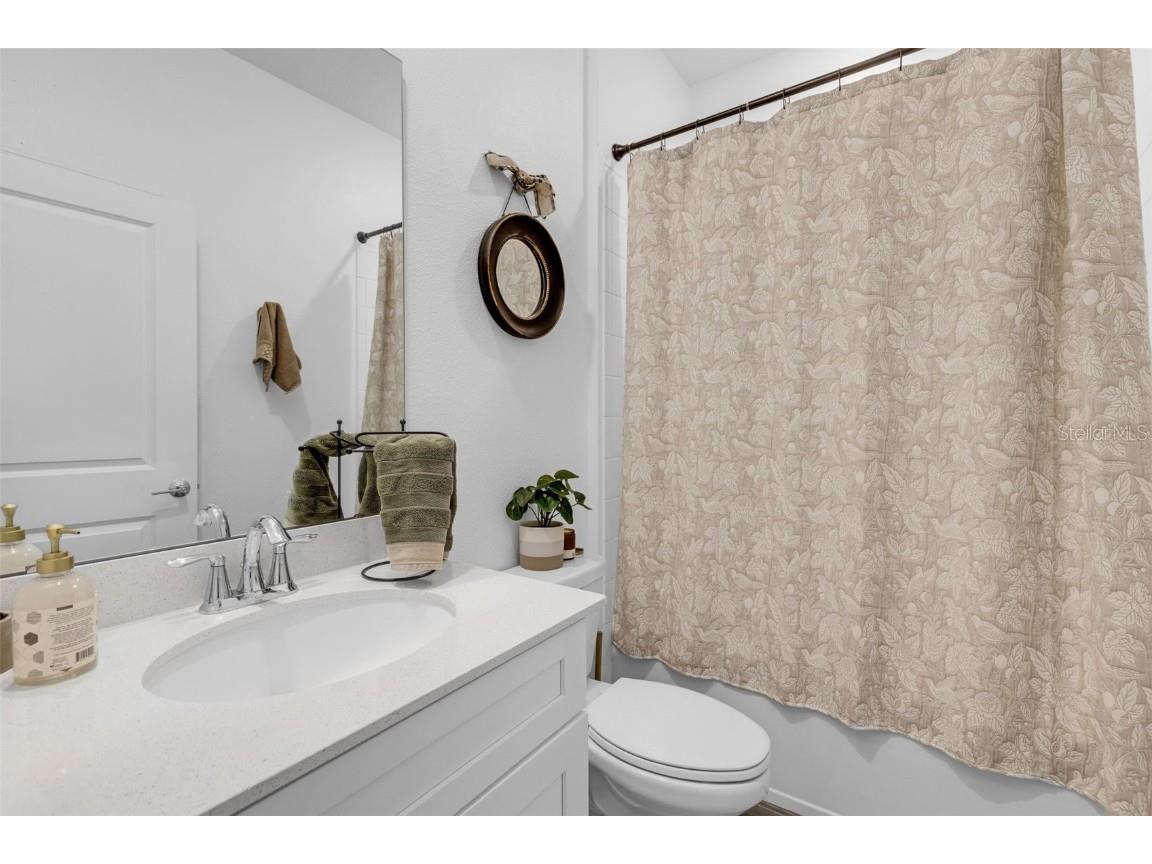 5229 Red Coral Circle Mount Dora FL 32757 S5130188 image25