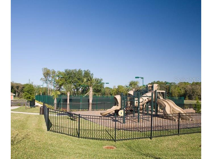 5229 Red Coral Circle Mount Dora FL 32757 S5130188 image29