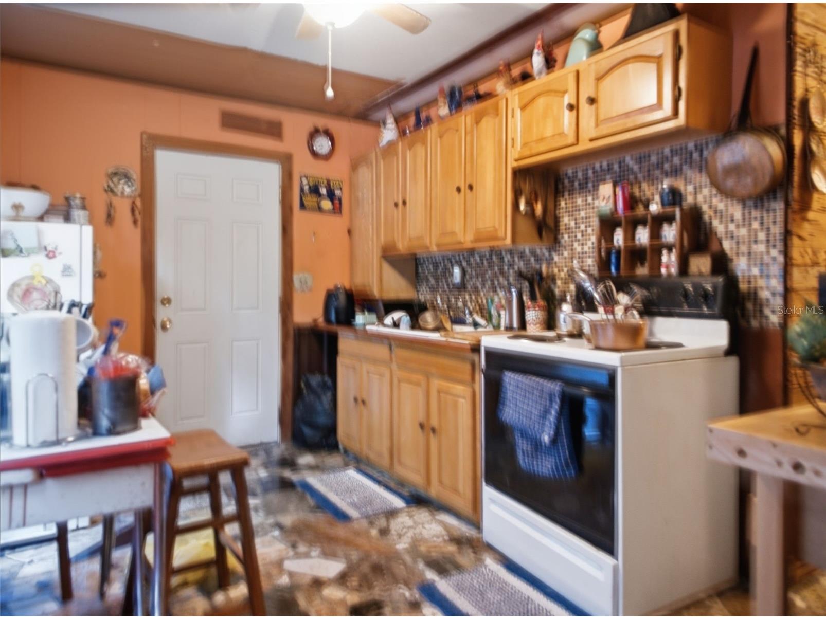 5229 SE 1st Street Trenton FL 32693 OM726482 image6