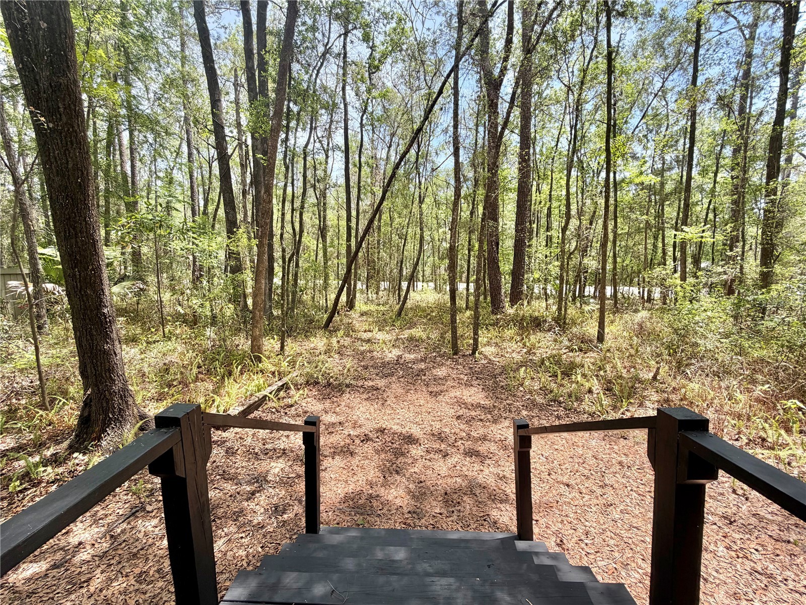 5229 SW 86th Terrace Gainesville FL 32608 GC540134 image33