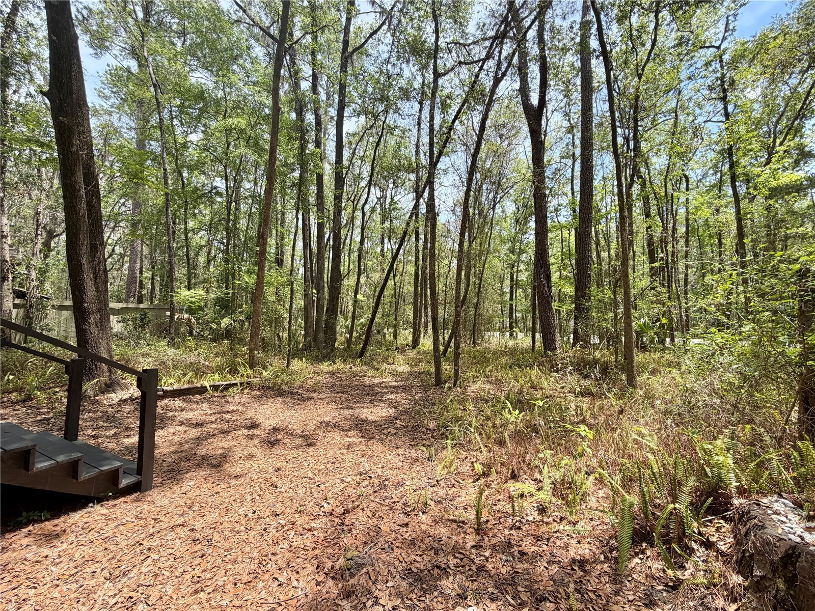 5229 SW 86th Terrace Gainesville FL 32608 GC540134 image34
