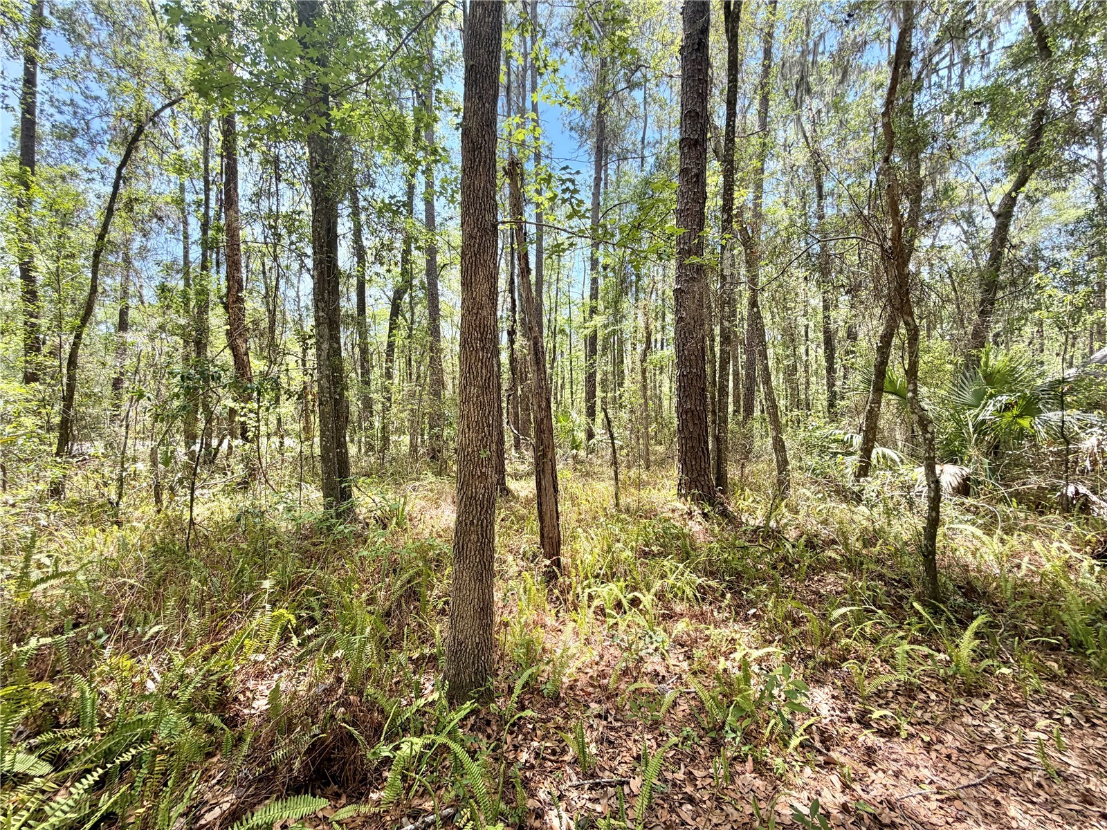 5229 SW 86th Terrace Gainesville FL 32608 GC540134 image35