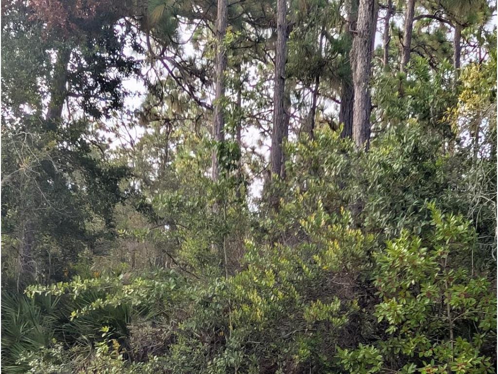 523 Azalea Drive Indian Lake Estates FL 33855 - LAKE WALK-IN-WATER TB8414576 image2