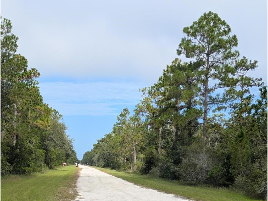 523 Azalea Drive Indian Lake Estates FL 33855 - LAKE WALK-IN-WATER TB8414576 image3