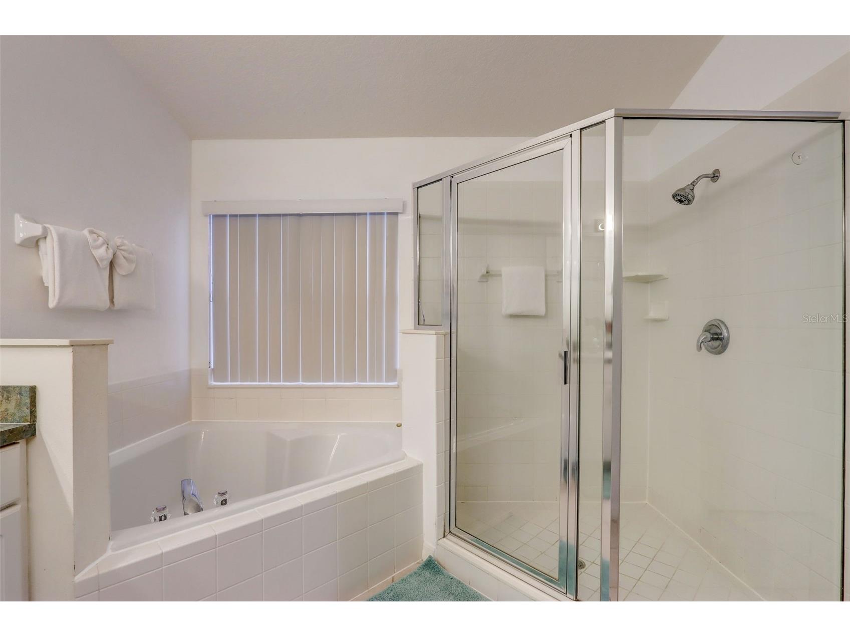 523 Balmoral Drive Davenport FL 33896 G5103583 image18