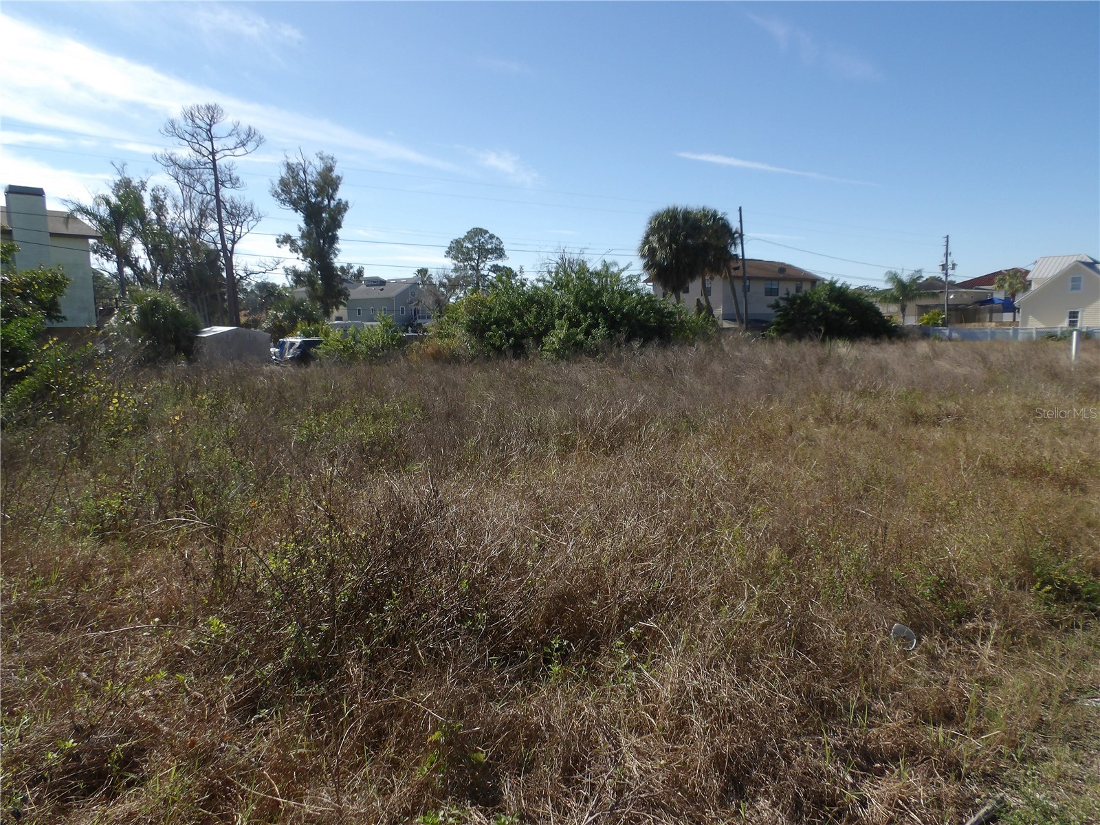 523 Doric Court Tarpon Springs FL 34689 TB8456173 image4