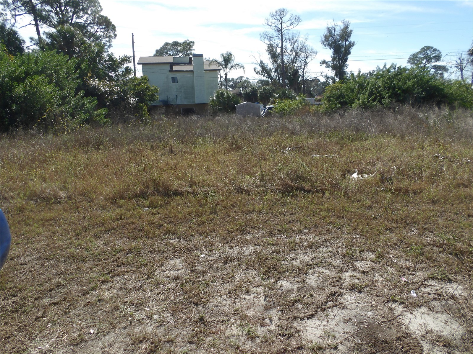 523 Doric Court Tarpon Springs FL 34689 TB8456173 image6