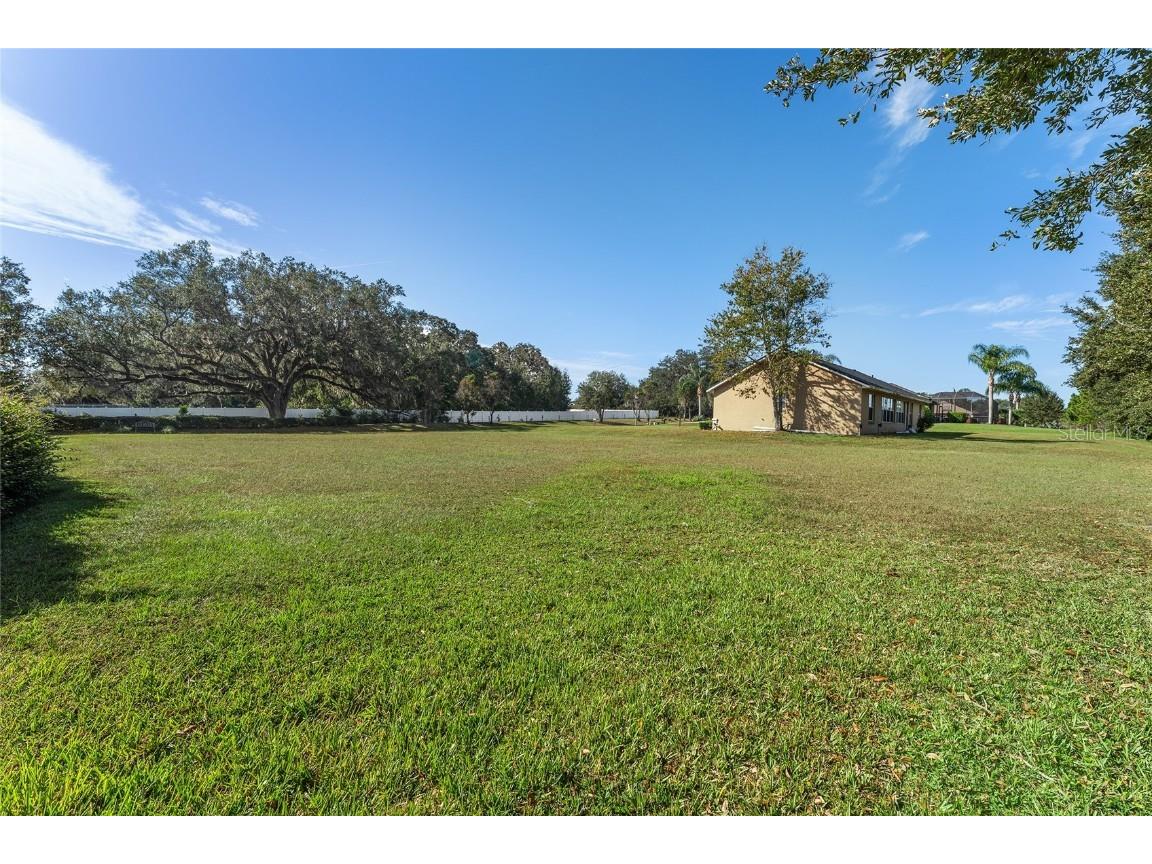 523 Dowling Circle Lady Lake FL 32159 G5089441 image1