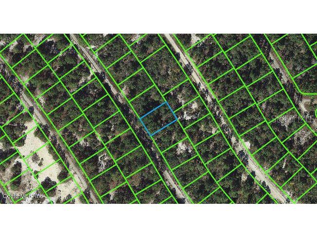 523 Dreamland Drive Lake Placid FL 33852 OM543119 image1