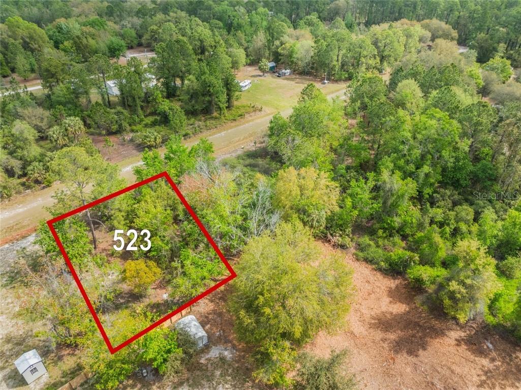 523 Gardenia Avenue Georgetown FL 32139 - Lake George O6214340 image1