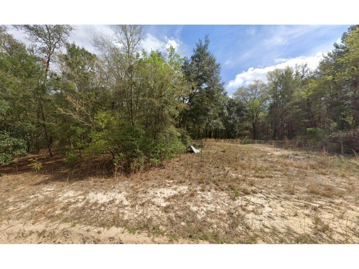 523 Gloria Avenue Interlachen FL 32148 OK225540 image1