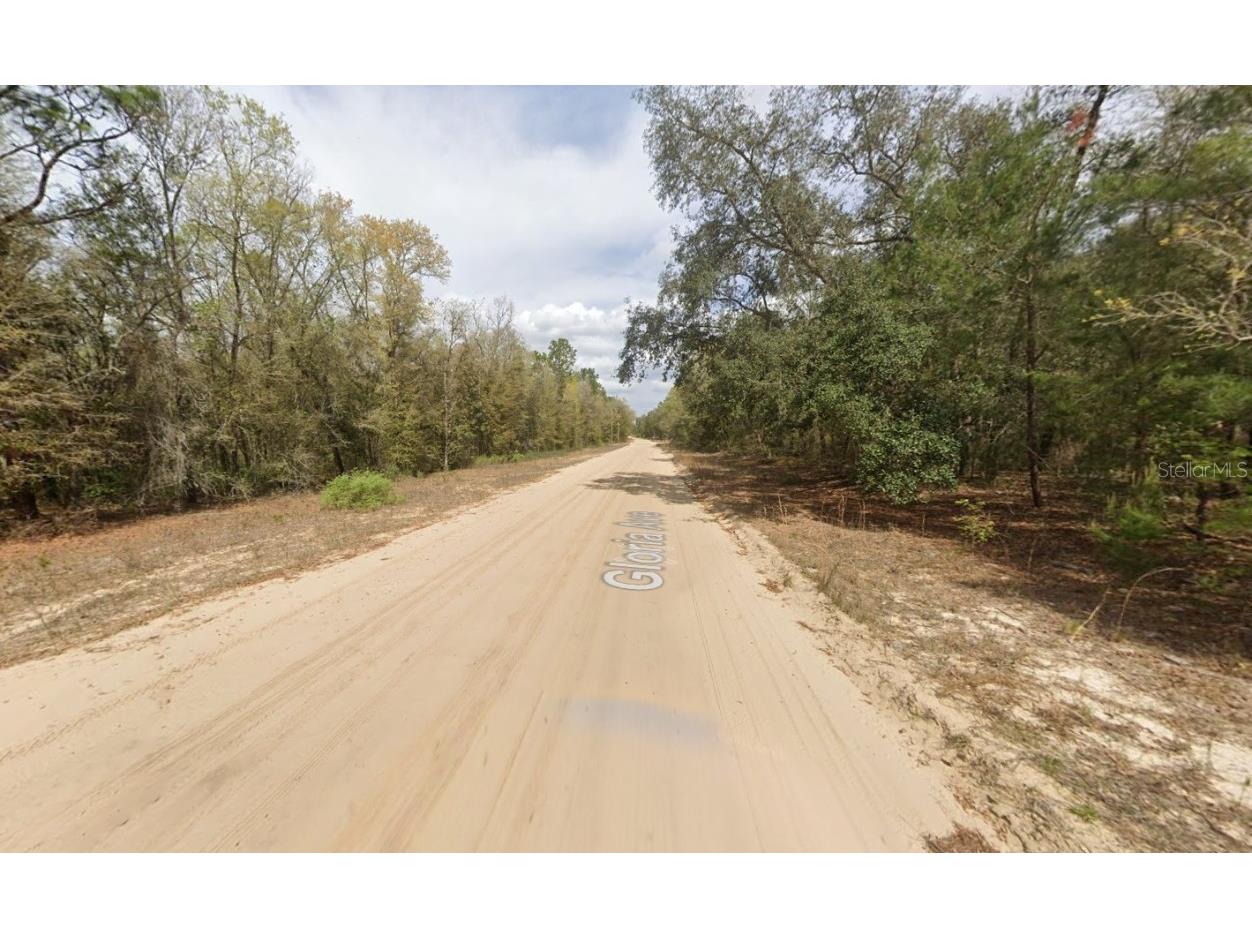 523 Gloria Avenue Interlachen FL 32148 OK225540 image2