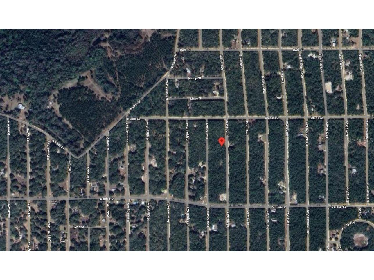 523 Gloria Avenue Interlachen FL 32148 OK225540 image3