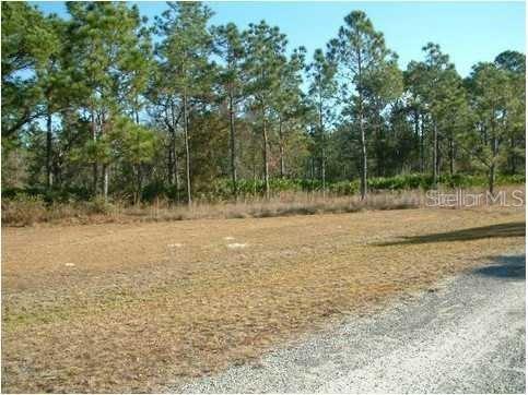 523 Plumosa Drive Indian Lake Estates FL 33855 O6087149 image1