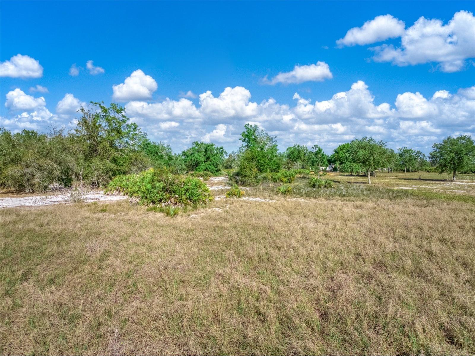 523 S Dickey Road Avon Park FL 33825 O6395032 image2