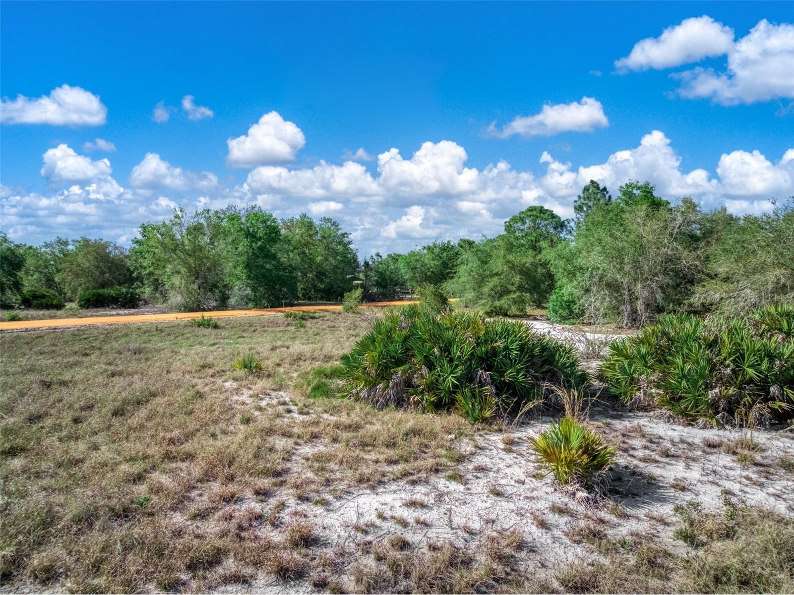 523 S Dickey Road Avon Park FL 33825 O6395032 image8