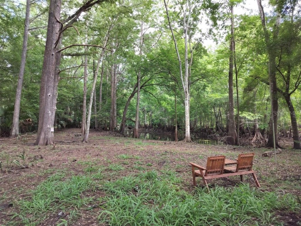 523 S Tuck Point Inverness FL 34450 - CANAL / WITHLACOOCHEE RIVER TB8411869 image1